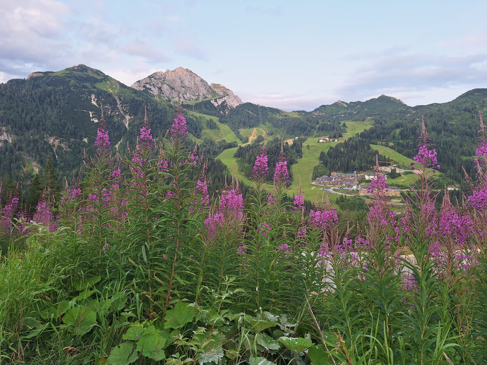 sommerurlaub in kärnten